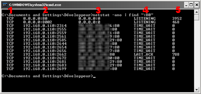 http://www.maraumax.fr/medias/Billets/tutoriels/invite-netstat.png